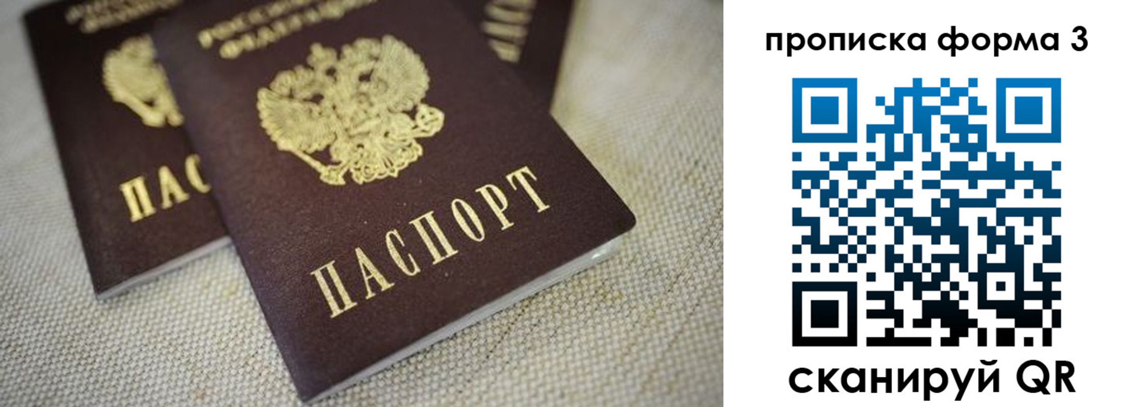прописка поиск в Саратове
